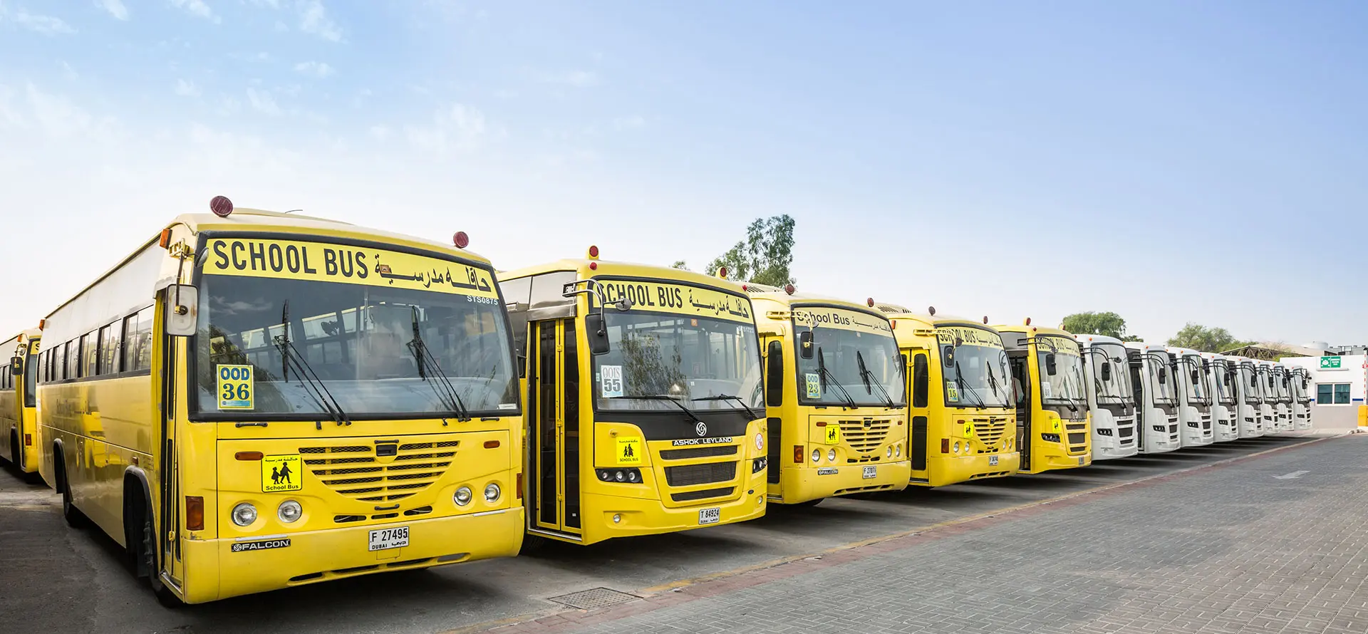 A Golden Opportunity for Bus Advertising in Dubai.