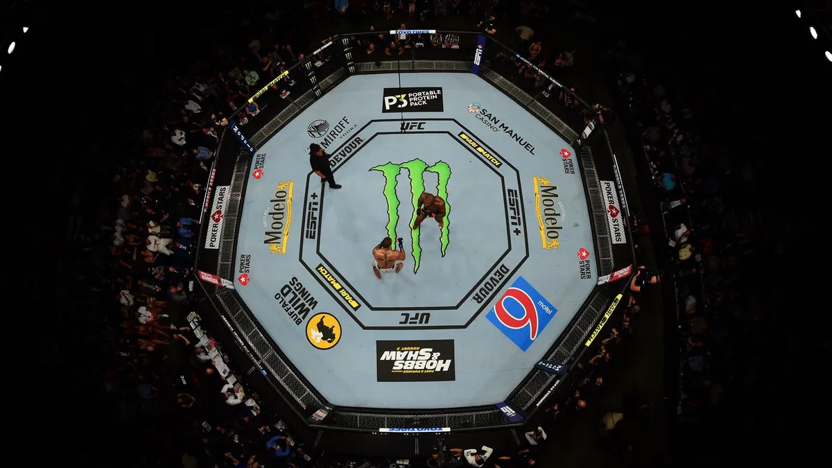 Octagon Canvas and In-Venue Branding in the UFC Octagon - World Sports Advertising